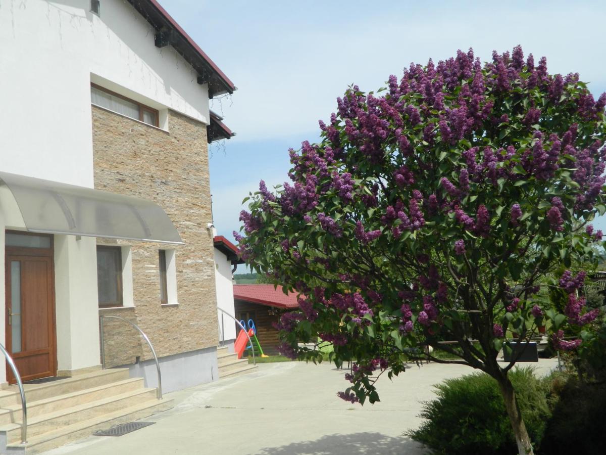 Hotel Mirana-Marginimea Sibiului Cristian  Exterior foto